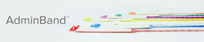 Picture of Identification Wristband AdminBand™ Write On Band Permanent Snap Without Legend1ADMIN00