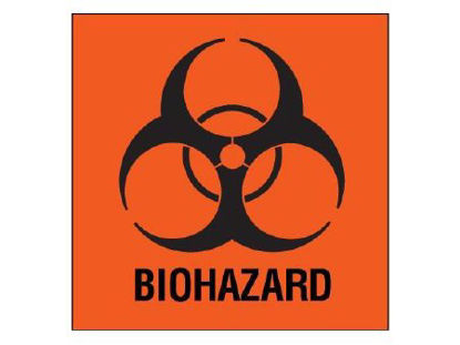 Picture of Pre-Printed Label Shamrock Warning Label Fluorescent Red Biohazard / Symbol Black Biohazard 1 X 1 InchSBH-8