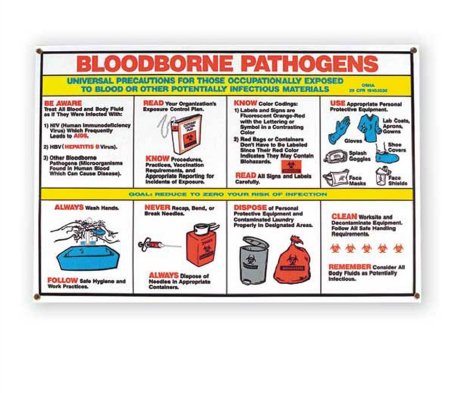Picture of Door / Wall Sign Caution Bloodborne Pathogens9905