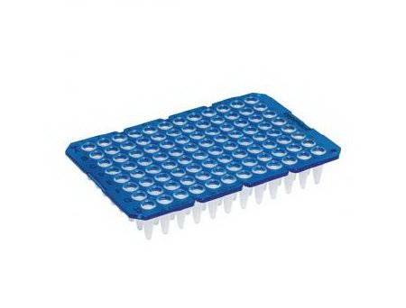 Picture of 96-Well Microplate Eppendorf™ twin.tec™ Thin Walled 250 µL Blue89136-700
