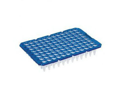 Picture of 96-Well Microplate Eppendorf™ twin.tec™ Thin Walled 250 µL Blue89136-700