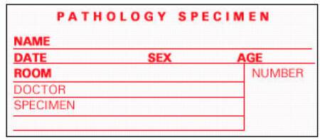Picture of Pre-Printed Label Timemed Laboratory Use White Pathology Specimen, Name, Date, Sex, Age, Room, Doctor, Speciment, Number Red Lab / Specimen 2 X 3-1/2 InchSP-5
