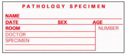 Picture of Pre-Printed Label Timemed Laboratory Use White Pathology Specimen, Name, Date, Sex, Age, Room, Doctor, Speciment, Number Red Lab / Specimen 2 X 3-1/2 InchSP-5