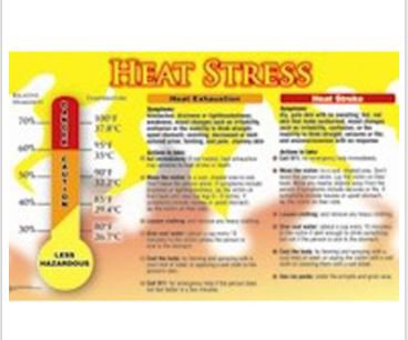 Picture of Wall Sign General Information Accuform® Heat Stress Safety AwarenessSP124477L