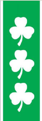 Picture of Blank Label Tape Key Surgical® Instructional Label Green, White Vinyl 1/4 InchT-709-03