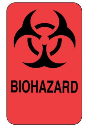 Picture of Pre-Printed Label Fisherbrand™ Warning Label Flourescent Red Paper Biohazard / Symbol Black Biohazard 2 X 3 Inch18999934