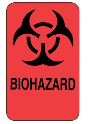 Picture of Pre-Printed Label Fisherbrand™ Warning Label Flourescent Red Paper Biohazard / Symbol Black Biohazard 2 X 3 Inch18999934