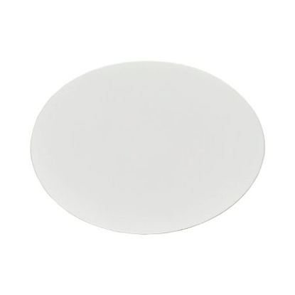 Picture of Filter Membrane Nalgene™ 0.2 µm Pore Size, 47 mm Outer Diameter, White For use with Particulate and Microbial AnalysisDS0215-4020