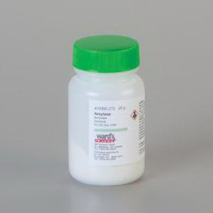 Picture of Chemistry Reagent Amylase Proprietary Mix 25 Gram944V4602