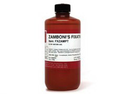 Picture of Histology Reagent American MasterTech Scientific Zamboni's Fixative Proprietary Mix 1 LiterNC0890152
