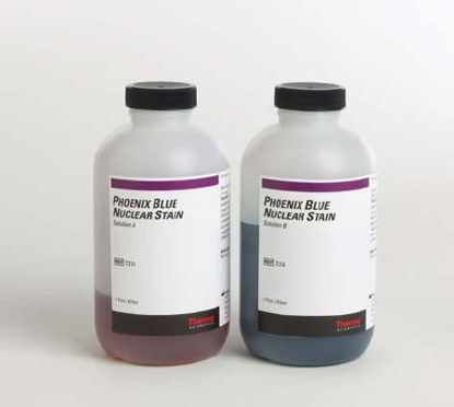 Picture of Nuclear Stain Kit Phoenix Blue™ Solution A: 2 X 170 mL, Solution B: 2 X 330 mL7214