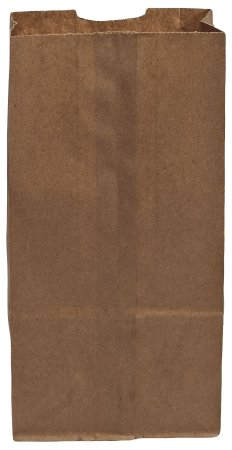 Picture of Grocery Bag Brown PaperG309