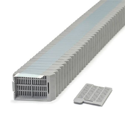 Picture of Tissue Cassette Swingsette™ Acetal GrayM517-9T