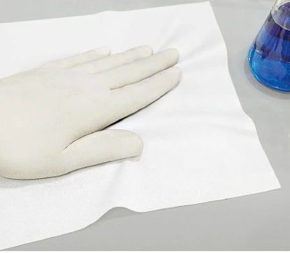 Picture of Cleanroom Wipe ISO class 5 White NonSterile Polyester 9 X 9 Inch DisposableS-18512