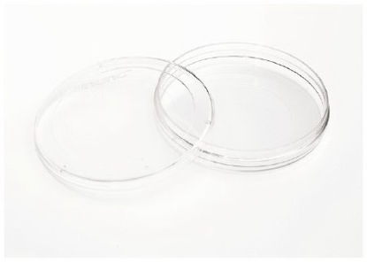Picture of DISH, NUNC IVF ICSI (120/CS)12565023