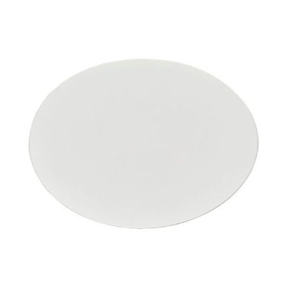 Picture of Filter Membrane Nalgene™ 0.2 µm Pore Size, 47 mm Outer Diameter, White For use with Particulate and Microbial AnalysisDS0210-4020