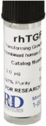 Picture of Immunology Reagent R&D Systems™ Human ICAM-1 / CD54 Recombinant Protein 90% 50 μgADP4050