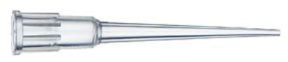 Picture of Pipette Tip Finntip™ 0.2 to 10 µL21377209