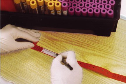 Picture of Identification Wristband Securline® Bloodband Permanent Snap Without Legend1490519