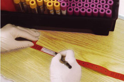 Picture of Identification Wristband Securline® Bloodband Permanent Snap Without Legend1490519