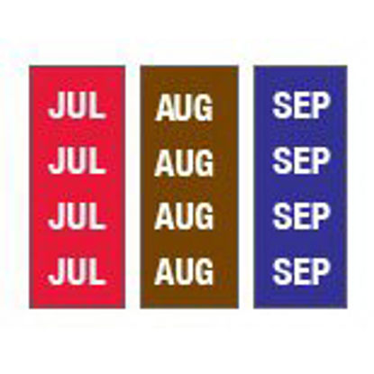 Picture of Pre-Printed Label Key Surgical® Multipurpose Label Brown / Purple / Red Tape Month Patterned 1/4 InchT-903-01
