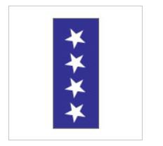 Picture of Pre-Printed Label Key Surgical® Chart Tab Blue Paper Star Symbol White Diagram / Symbol 8-1/2 X 11 InchT-703-06
