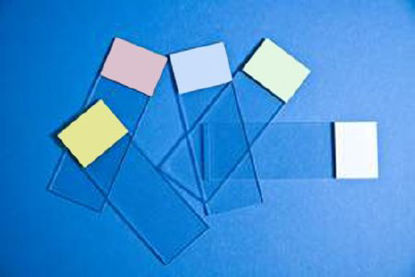 Picture of Microscope Slide Selectfrost™ 25 X 75 X 1 mm Tan Frosted End1255008