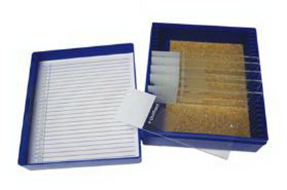 Picture of Control Slide Alcian Blue Tissue22026703