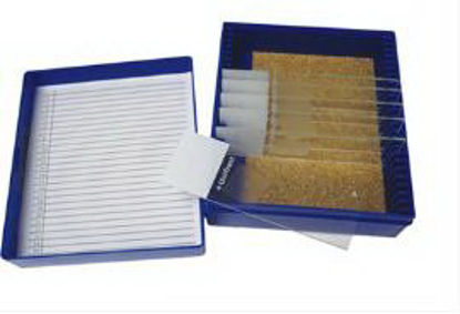 Picture of Control Slide Amyloid Tissue22026704