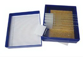 Picture of Control Slide Elastic Tissue22026708