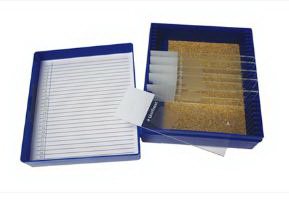 Picture of Control Slide Mucicarmine Tissue22026719