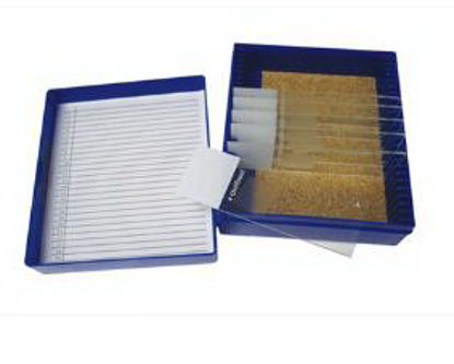 Picture of Control Slide Reticulum Tissue22026722