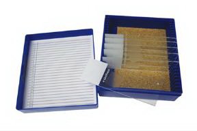 Picture of Control Slide Glycogen Tissue22026713