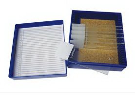 Picture of Control Slide Trichrome Tissue22026723