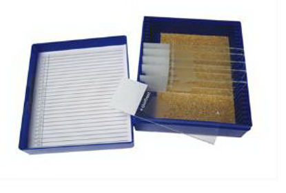 Picture of General Chemistry Control Slide Iron Tissue22026715