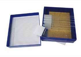 Picture of Control Slide Massons Tissue22026717