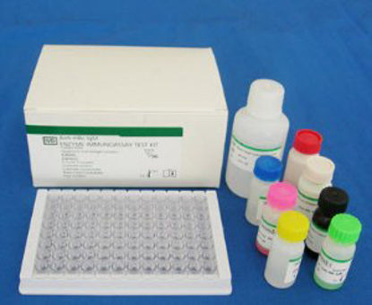 Picture of Reagent Infectious Disease Immunoassay Rubella IgG 60 Tests30226