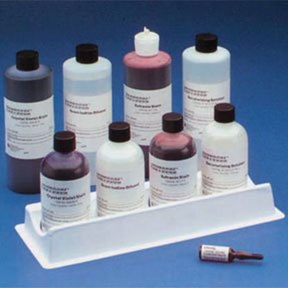 Picture of Reagent API® Identification and Susceptibility Testing Nitrate 1, Nitrate 2 2 X 5 mL , 2 X 5 mL70442