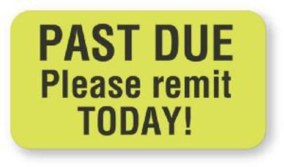 Picture of Pre-Printed Label UAL™ Instructional Label Green Paper Past Due Please Remit Today Black Patient Information 7/8 X 1-5/8 InchULHC511