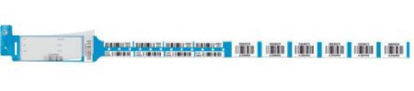 Picture of Identification Wristband Securline® Bloodband Permanent Snap Blood Transfusion2431-18-PDB