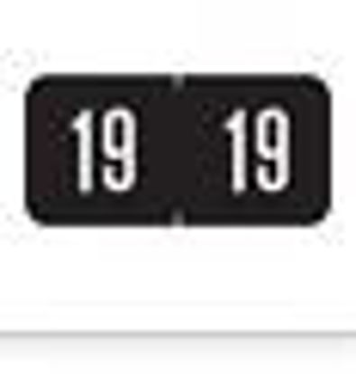 Picture of Pre-Printed Label Chart Tab Black 2019 Numeric 3/4 Inch94619