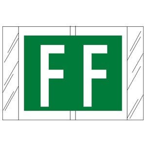 Picture of Pre-Printed Label Chart Tab Green / White F | F White Alpha Series 1 Inch82006