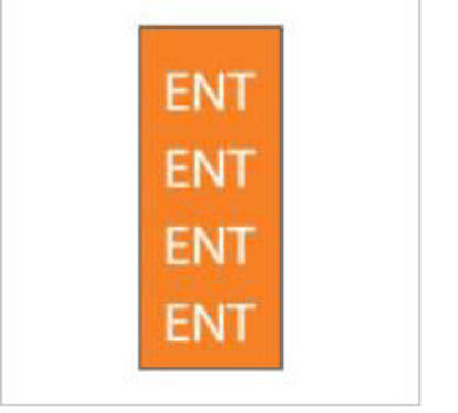 Picture of Pre-Printed Label Key Surgical® Chart Tab Orange Paper ENT White Diagram / Symbol 8-1/2 X 11 InchT-604-07