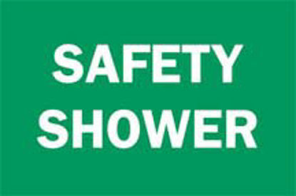 Picture of Door / Wall Sign Facility Brady™ Safety Shower19035456