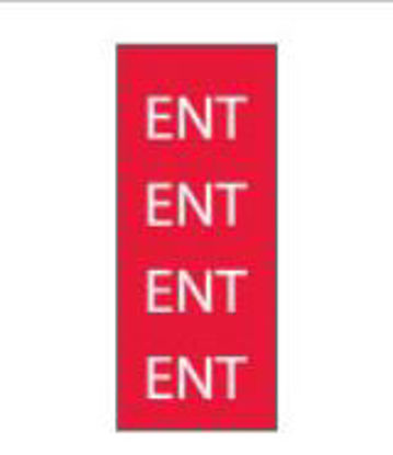 Picture of Pre-Printed Label Key Surgical® Chart Tab Red Paper ENT White Diagram / Symbol 8-1/2 X 11 InchT-604-04