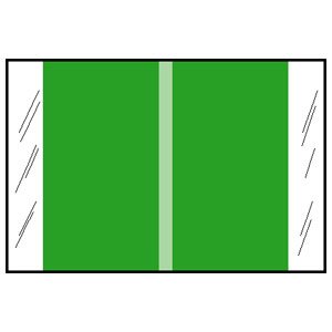 Picture of Blank Label Chart Tab Green Paper 1 X 500 Inch11103
