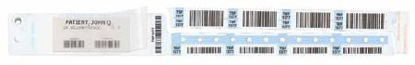 Picture of Identification Wristband Securline® Bloodband Clasp Closure Without Legend2431-16-PDB
