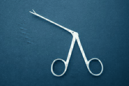 Picture of Ear Forceps McKesson Hartmann 3-1/2 Inch Length Office Grade Stainless Steel NonSterile Finger Ring Handle Serrated Alligator Tip43-2-209