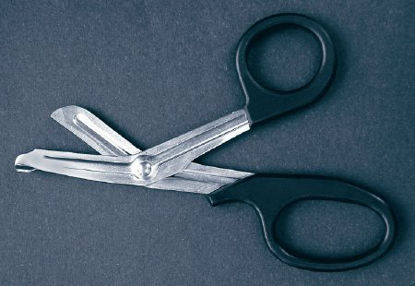 Picture of Utility Scissors McKesson Argent™ 7-1/2 Inch Length Surgical Grade Stainless Steel Finger Ring Handle43-1-105