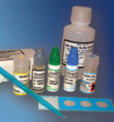 Picture of Rapid Test Kit Merifluor® Parasitology Cryptosporidium Oocysts / Giardia Cysts Stool Sample 50 Tests250050